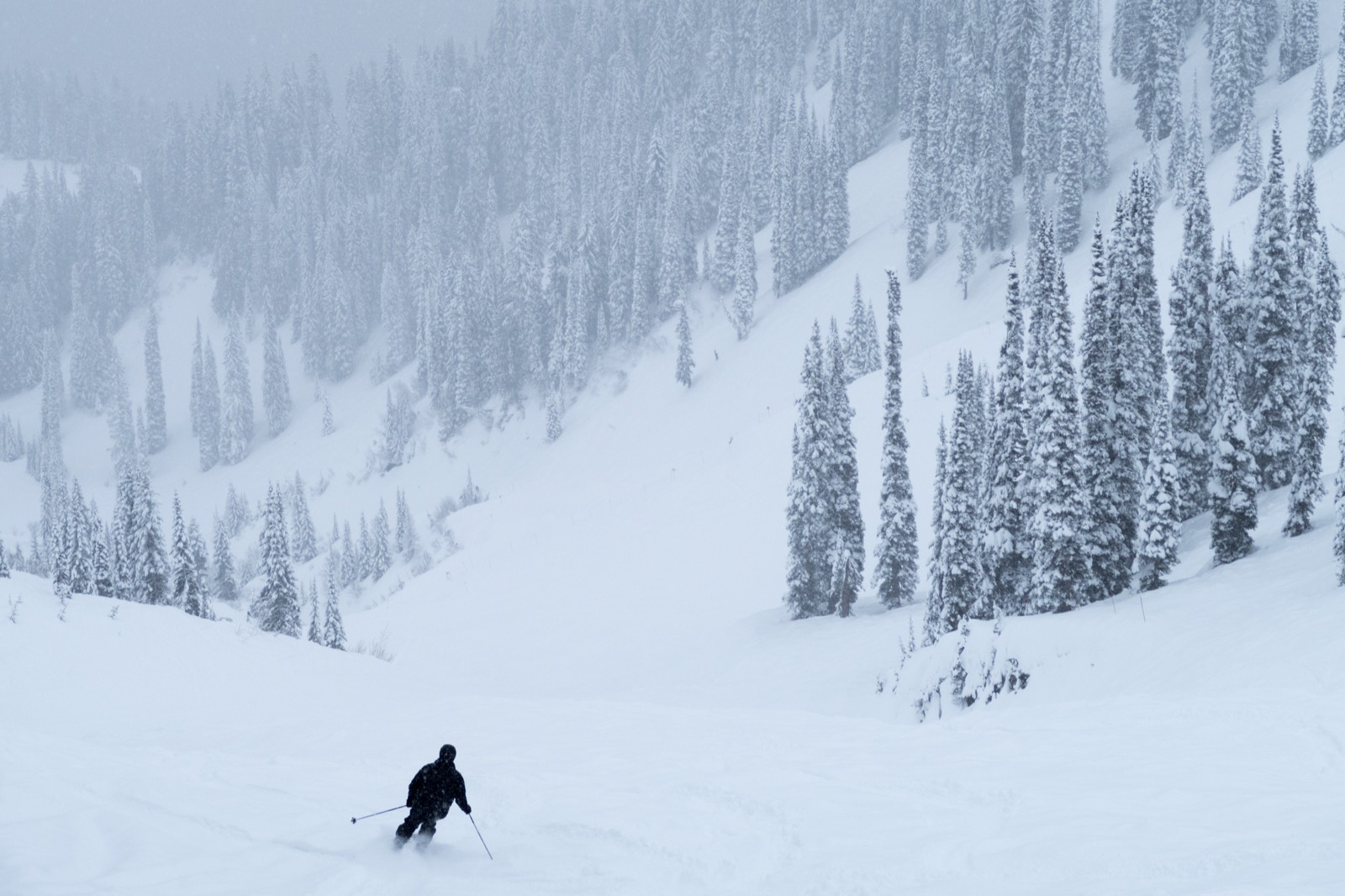 Skier in deep powder near Fernie